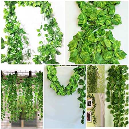 Money Plant Santhi Plants Nursery - Artificial Money Plant Decoration Ideas
