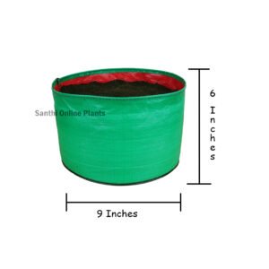 Green Grow Bag 9*6(Pieces: 5)