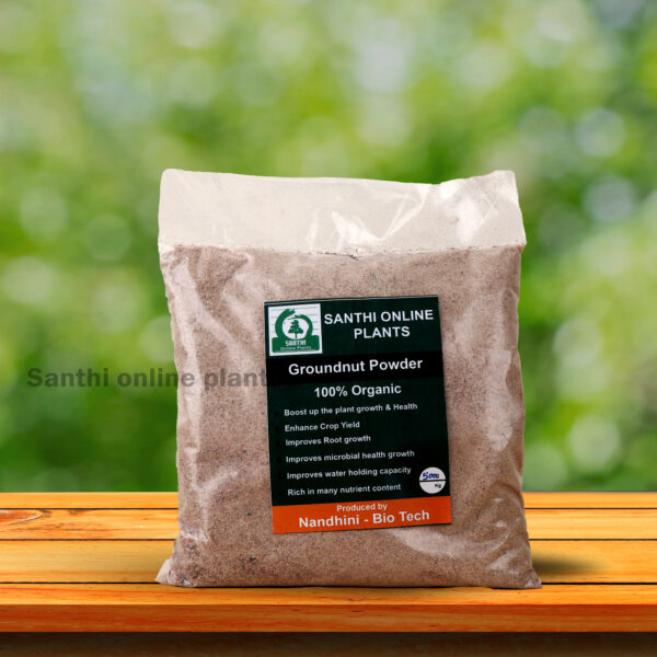 Groundnut powder 500 gm
