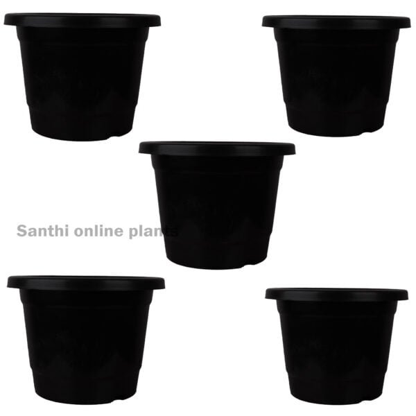 12" Pot Black (Pieces: 5)