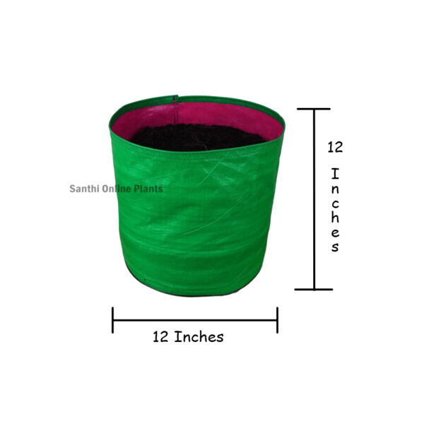 Green Grow bag 12 * 12 (10 pcs)