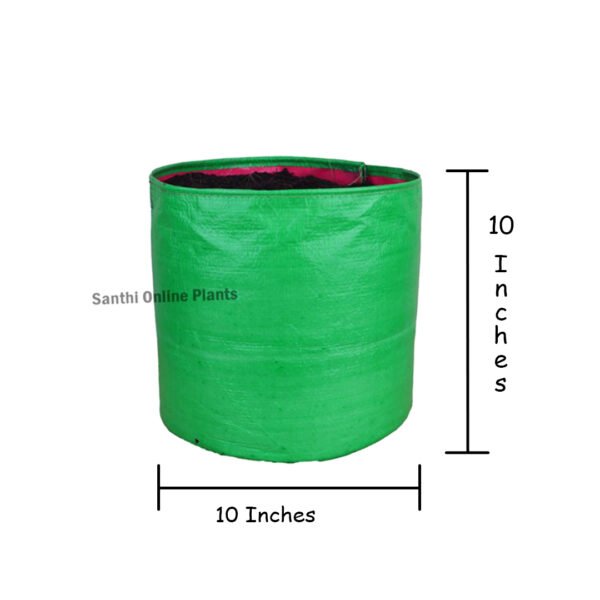 Green Grow bag 10*10