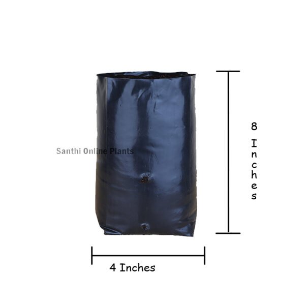 Black Cover 4*8 (Pieces: 50)