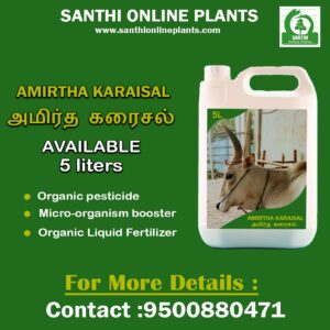 Amirthakaraisal (Liquid Bio-fertilizer)