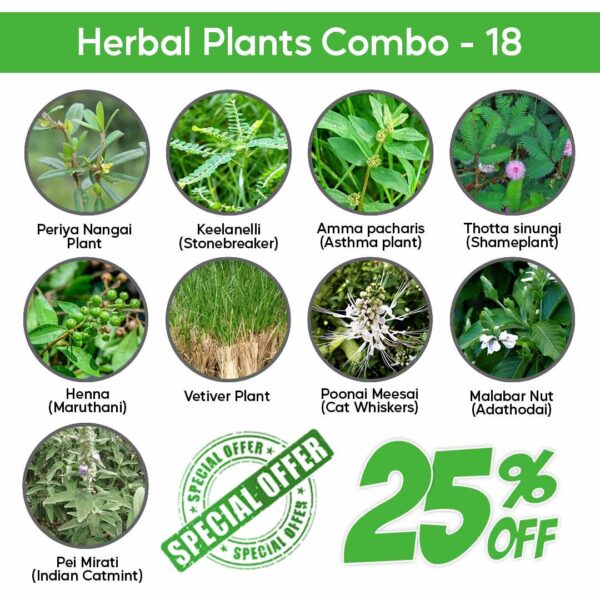 Herbal-plants-combo