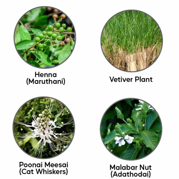 Herbal plants combo