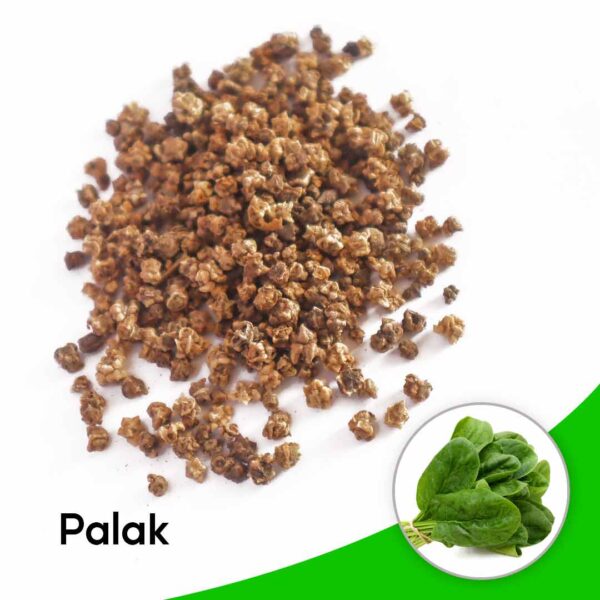 Palak seeds