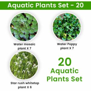 Aquatic Plants Set - 20