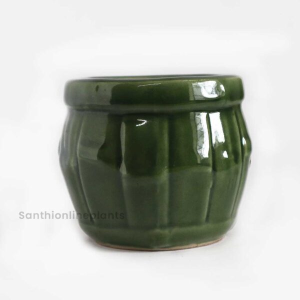 Bamboo Pot (small) green 1