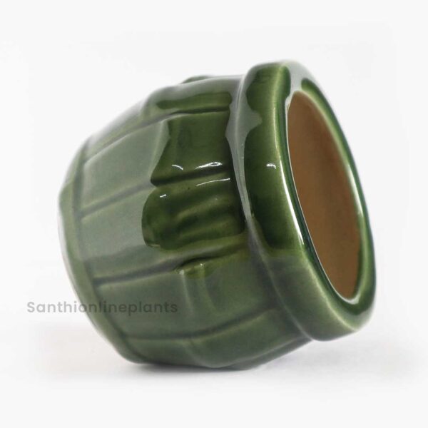 Bamboo Pot (small) green 2