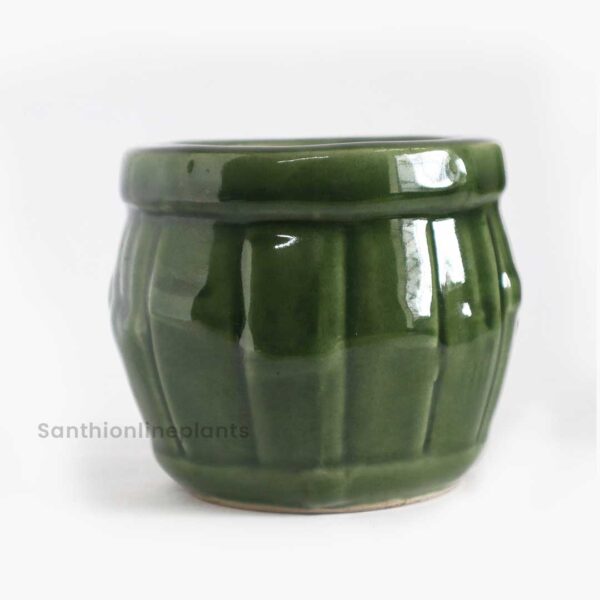 Bamboo pot (small) green