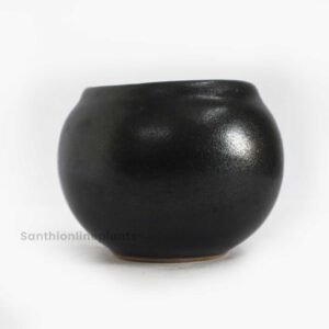 Globe Ceramic Black Pot(Small)
