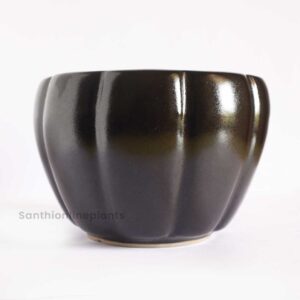 Line Lotus Ceramic Brown(medium)