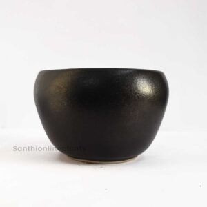 Miami Ceramic Black (Small)