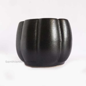 Pumpkin Black Ceramic Pot(Medium)