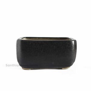 Rectangular Bonsai Black Pot