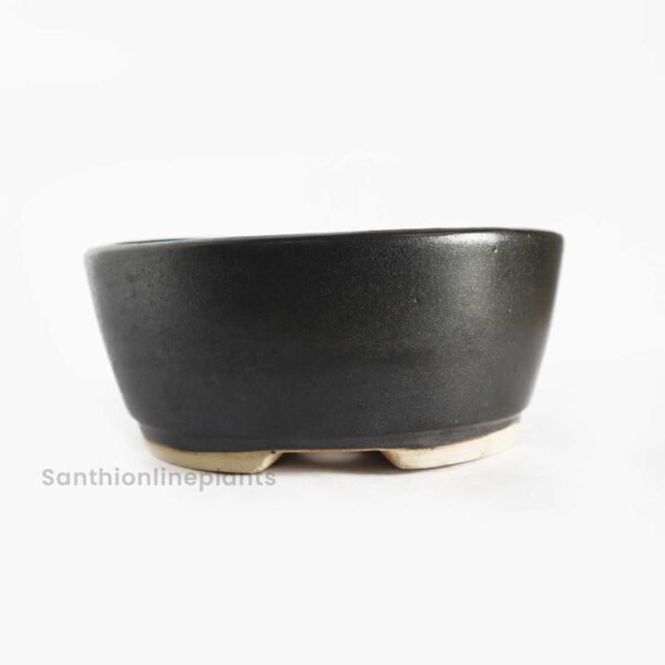 Round Bonsai Black (Medium)