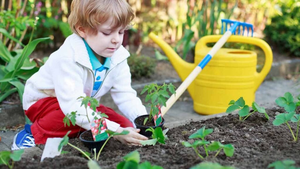 garden maintenance