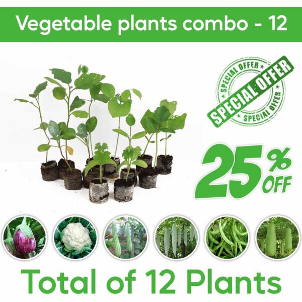 vegetable plants combo - 12