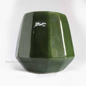 Cone Ceramic Green(Medium)