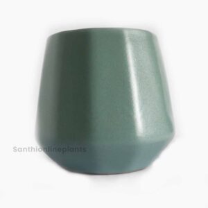 Cone Ceramic Skyblue(Small)