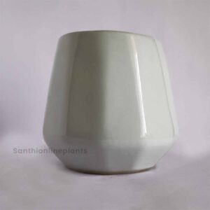 Cone Ceramic White(Small)