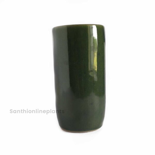 Glass Design Ceramic Green(Medium)