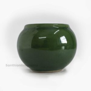 Globe Ceramic Green Pot(Small)