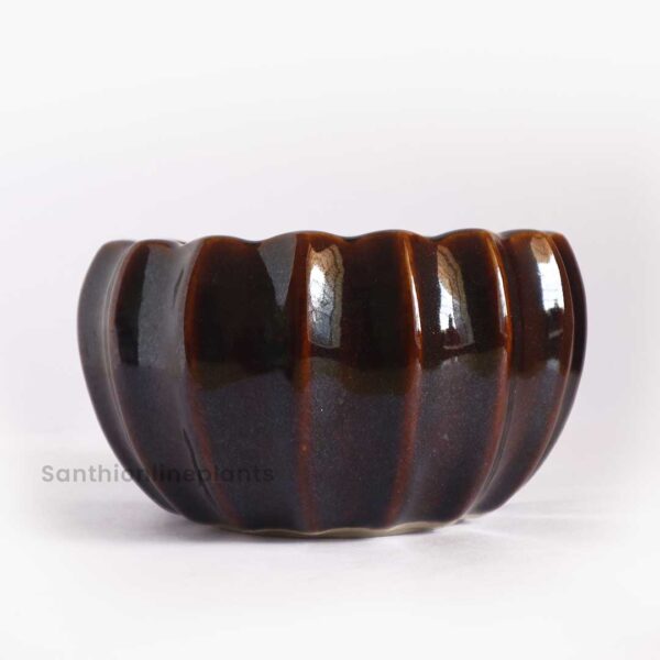 Lily Brown Ceramic Pot(Medium)