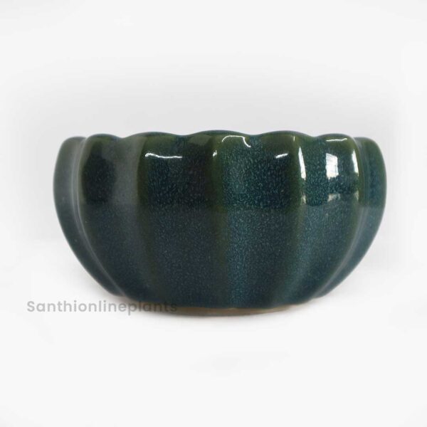 Lily Light Green Ceramic (Medium)