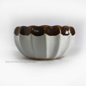 Lily Ceramic Brown Pot(Small)