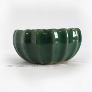 Lily Ceramic Green Pot(Small)