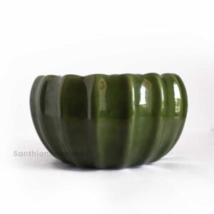 Lily Ceramic Light Green Pot(Small)