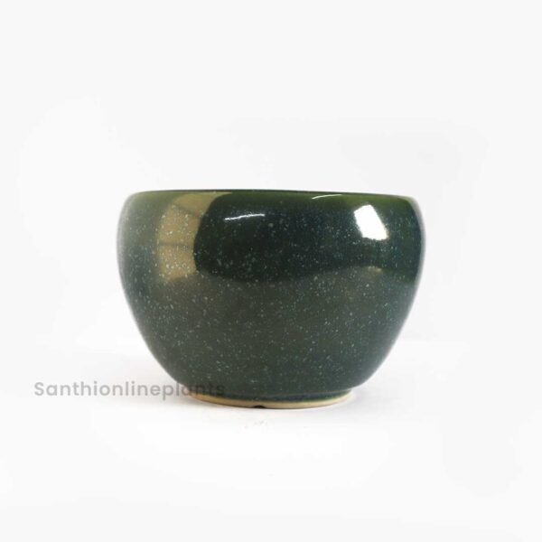 Miami Ceramic Green(Small)