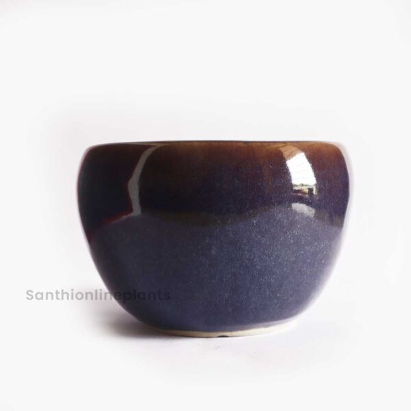 Miami Ceramic Purple(Small)