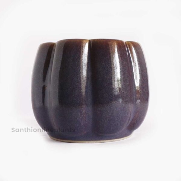 Pumpkin Ceramic Purple(Medium)