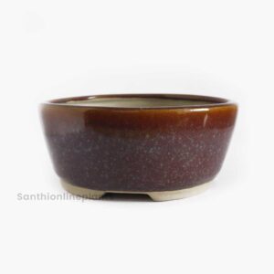 Round Bonsai Purple (Medium)