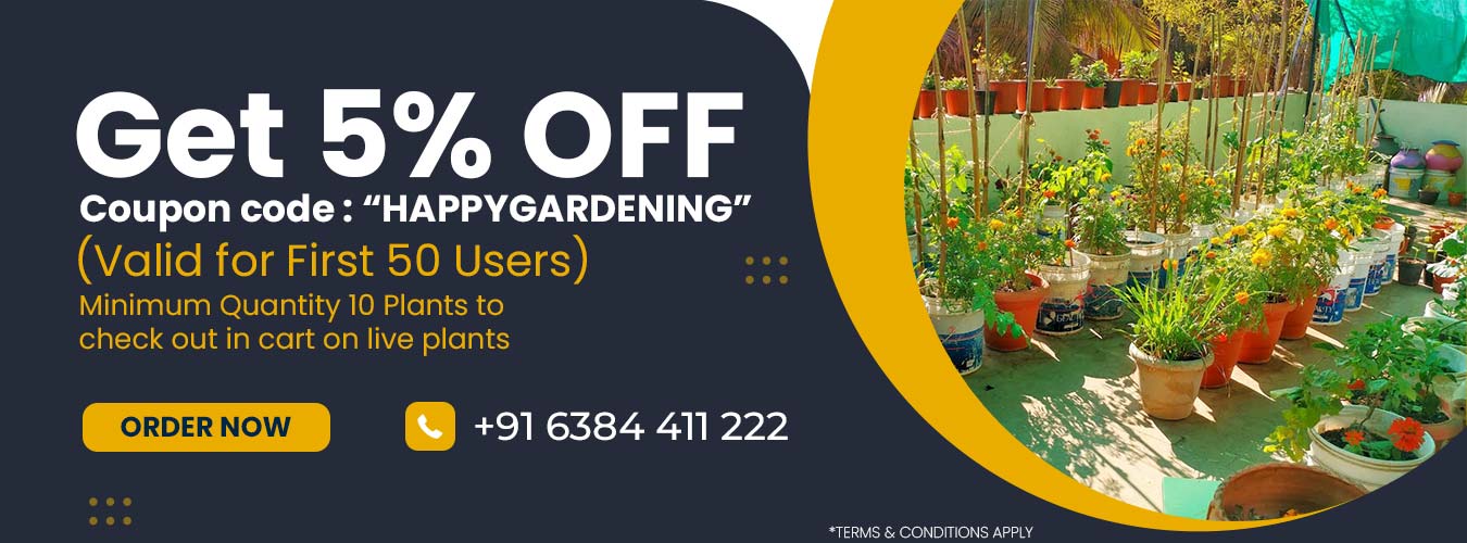 Online Plants Nursery - Online plants nursery | Plants Online | Get low cost online plants nursery in India