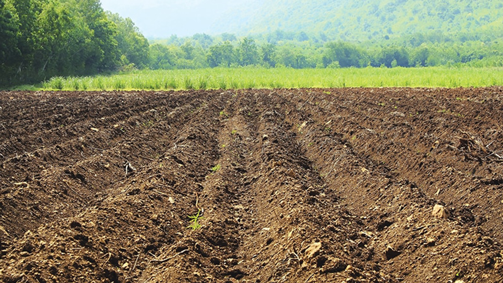 land preparation