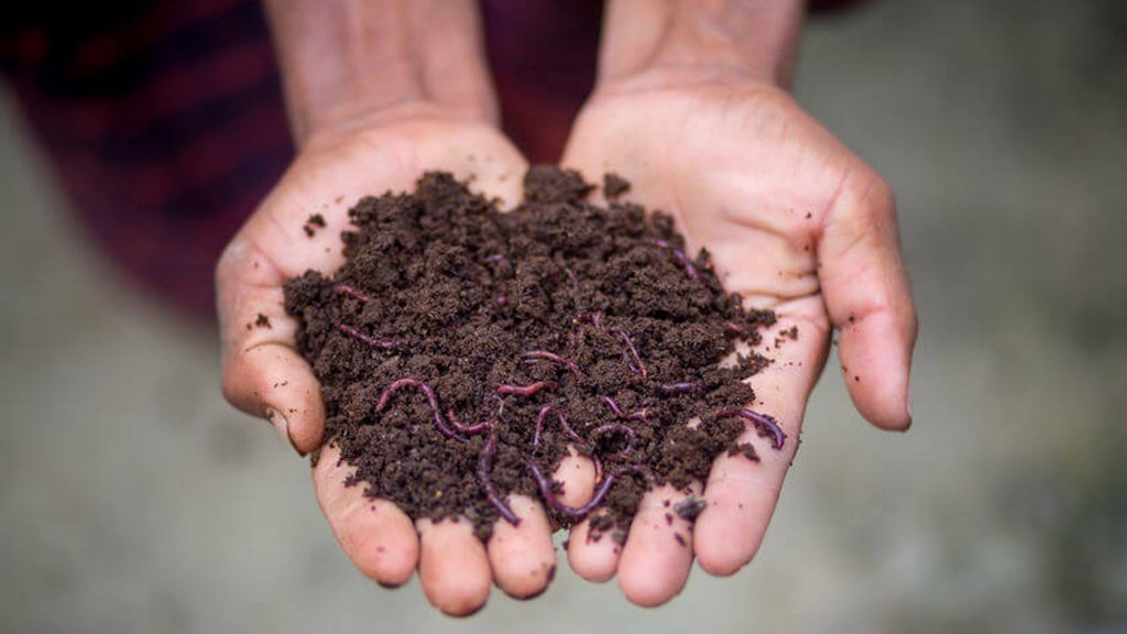 vermicompost