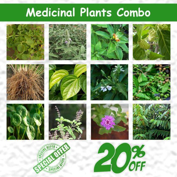Medicinal Plants Combo