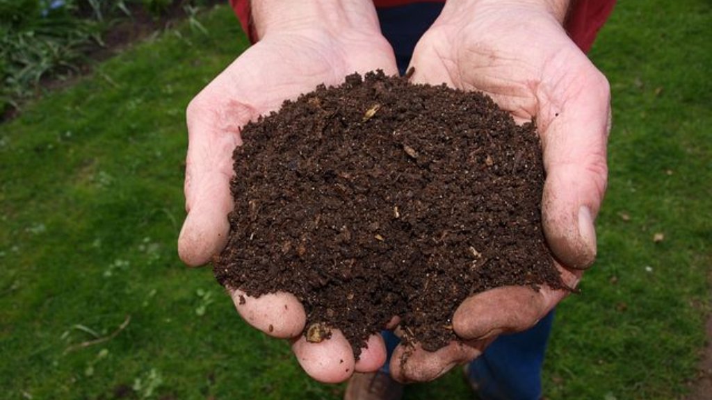 vermicompost