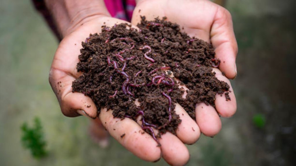 vermicompost