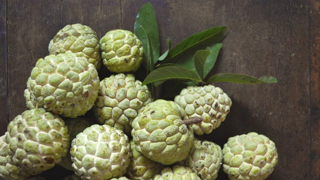 Custard Apple Fruit