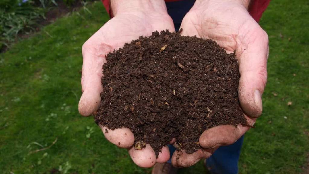 organic compost