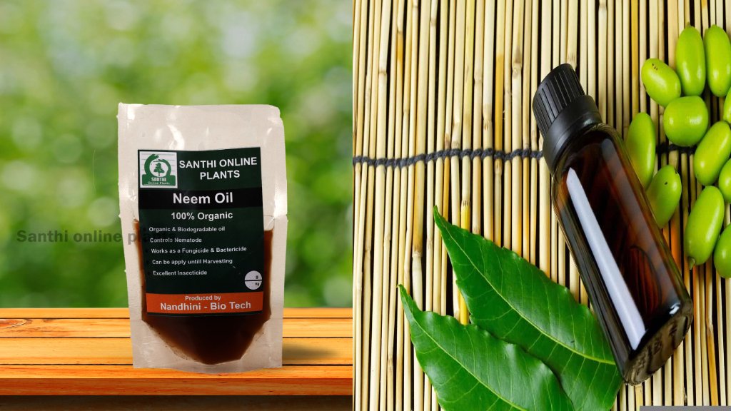 neem oil