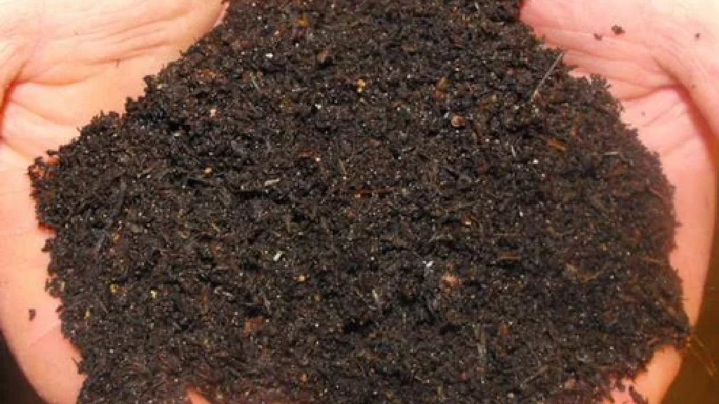 organic fertilizer