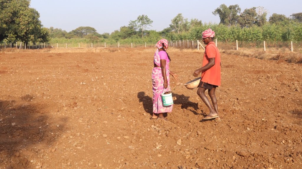 land preparation