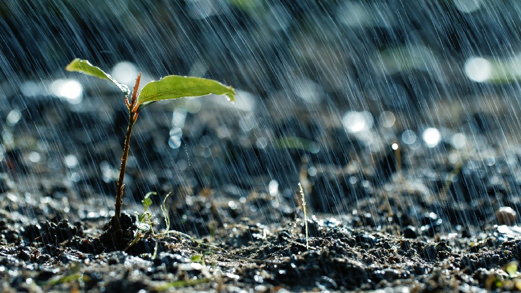 climate & rainfall