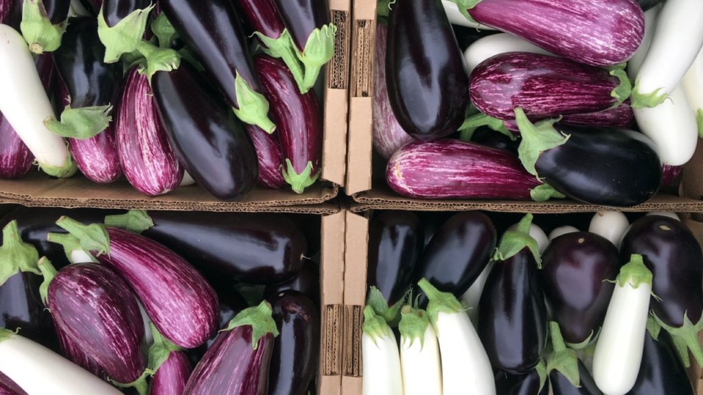 eggplant vareities